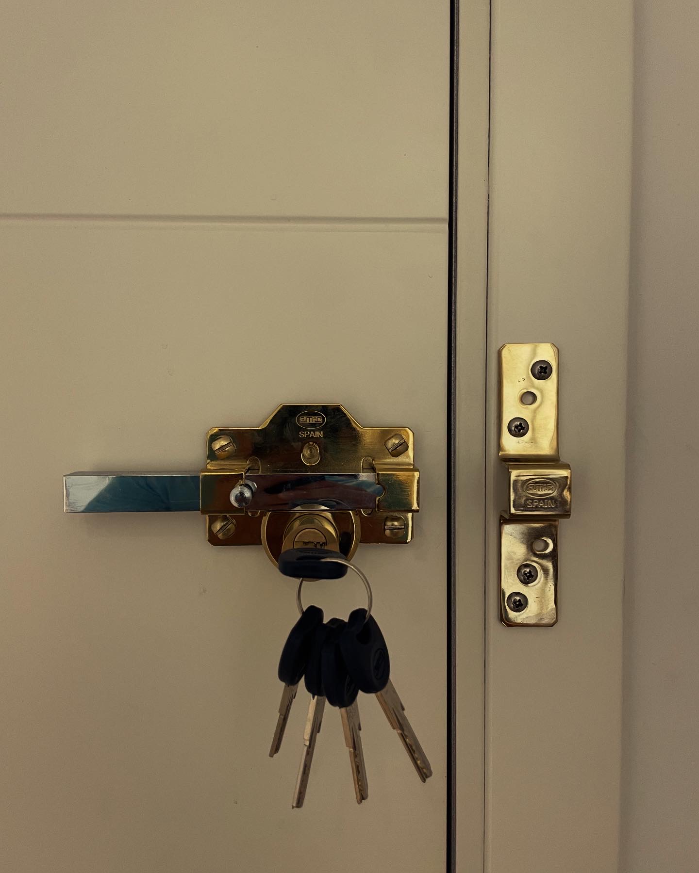 “Install a High-Security Bolt Lock to Protect Your Door in san pedro